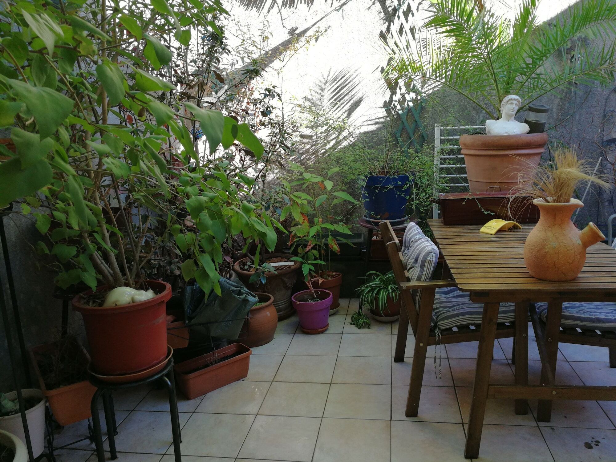 Bed And Breakfast מונפלייה מראה חיצוני תמונה